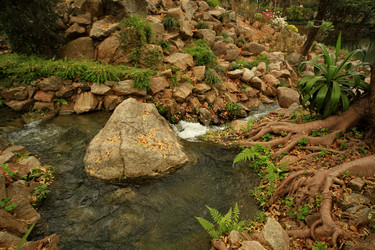 Similar image 1401154