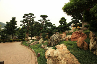 Similar image 1401156