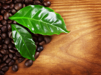 Similar image 1401173