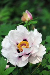 Similar image 1401190