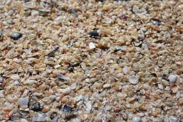 Similar image 1401212