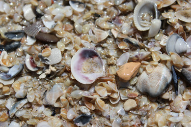 Similar image 1401213