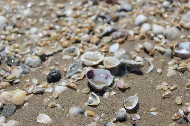 Similar image 1401215