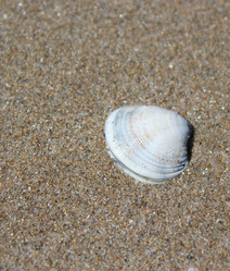 Similar image 1401216