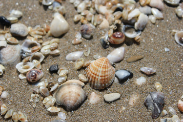 Similar image 1401217