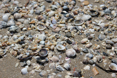 Similar image 1401218