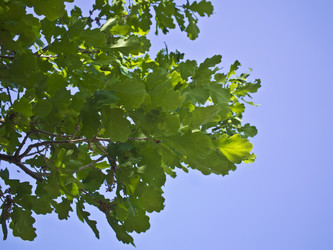 Similar image 1401223