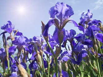 Similar image 1401226