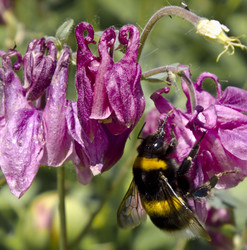 Similar image 1401228