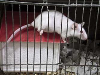 Similar image 1401246