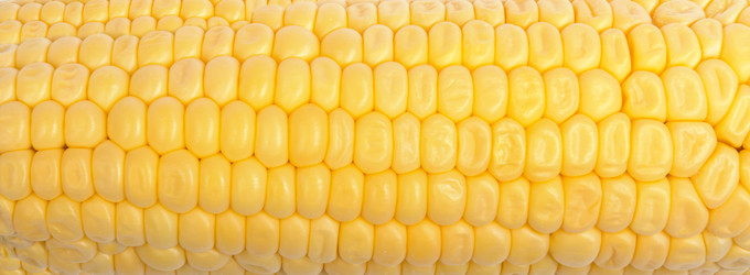 Similar image 1401260