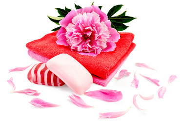 Similar image 1401266