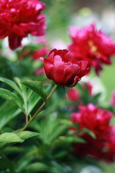 Similar image 1401271