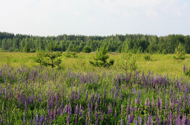 Similar image 1401273