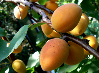 Similar image 1401274