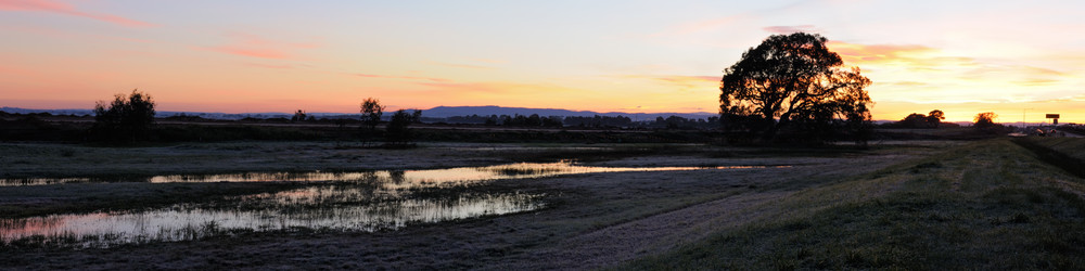 Similar image 1401275