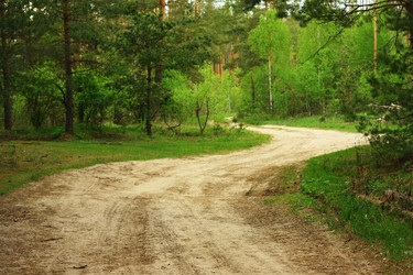 Similar image 1401281