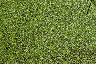 Similar image 1401284