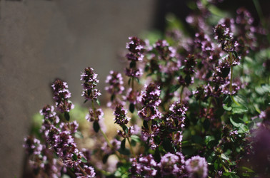 Similar image 1401286