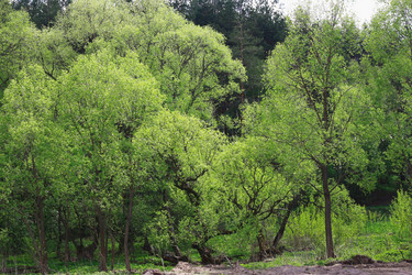 Similar image 1401288