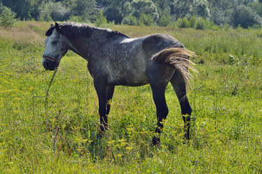 Similar image 1401304