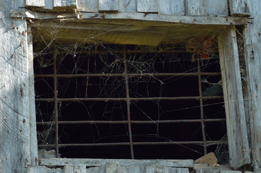 Similar image 1401305