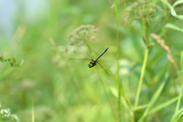 Similar image 1401306