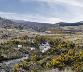 Similar image 1401335