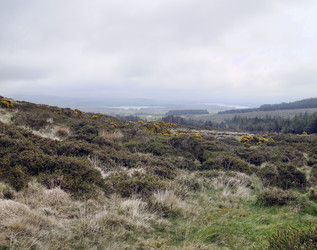 Similar image 1401340