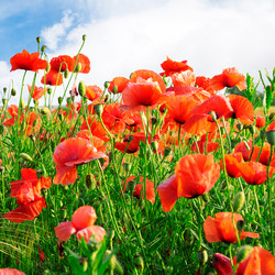 Similar image 1401364