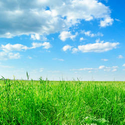 Similar image 1401374