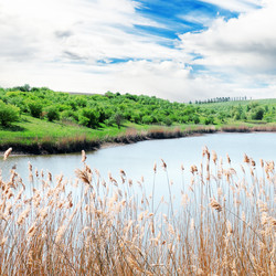 Similar image 1401376