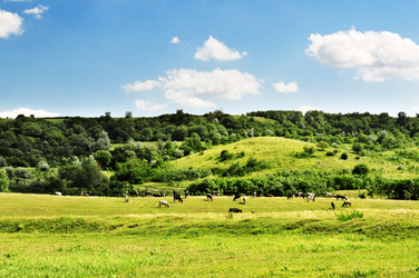 Similar image 1401390