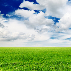 Similar image 1401393