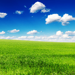 Similar image 1401396