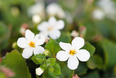 Similar image 1401425