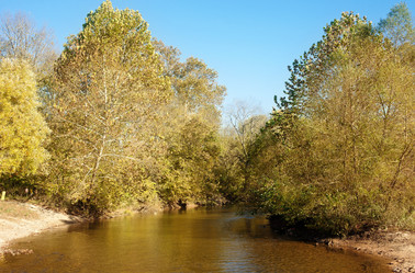 Similar image 1401436