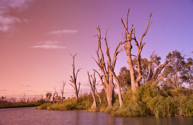 Similar image 1401456