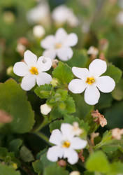 Similar image 1401457