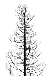 Similar image 1401478