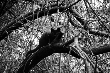 Similar image 1401510