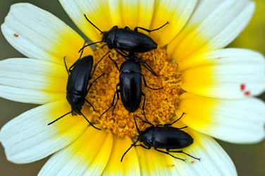 Similar image 1401523