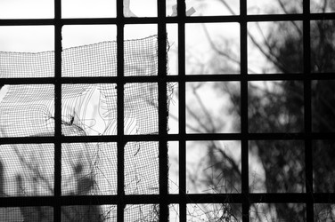 Similar image 1401538