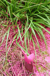 Similar image 1401551