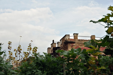 Similar image 1401566