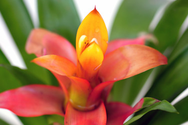 Similar image 1401601