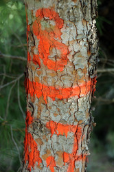 Similar image 1401607