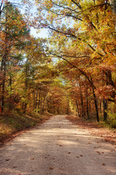 Similar image 1401625