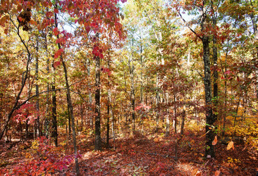 Similar image 1401636