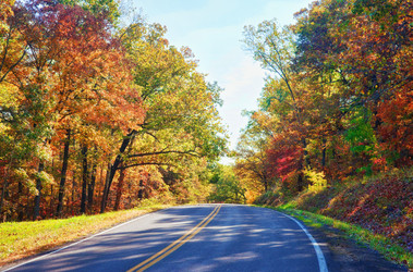 Similar image 1401638